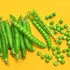 50 GREEN ARROW PEA Heirloom Shelling English Pisum Sativum Vegetable Seeds