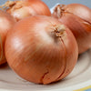 500 Sweet YELLOW SPANISH ONION Allium Cepa Vegetable Seeds