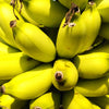 5 RED TIGER BANANA Hardy Musa Sikkimensis Bengal Flowering Darjeeling Sikkim Fruit Tree Seeds