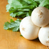 300 WHITE EGG TURNIP Brassica Rapa Vegetable Seeds