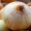 Texas Early Grano Onion Seeds – Large Sweet Yellow Allium Cepa Vegetable – photo 6