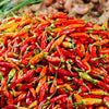30 BIRDS Eye CHILI PEPPER (Chiltepin Pepper) Capsicum Frutescens Vegetable Seeds