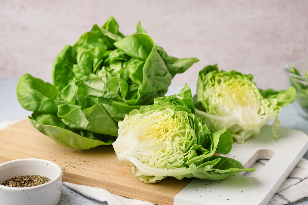White Boston Lettuce Seeds – 12" Green Butterhead Lactuca Sativa Vegetable