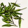 30 BIRDS Eye CHILI PEPPER (Chiltepin Pepper) Capsicum Frutescens Vegetable Seeds
