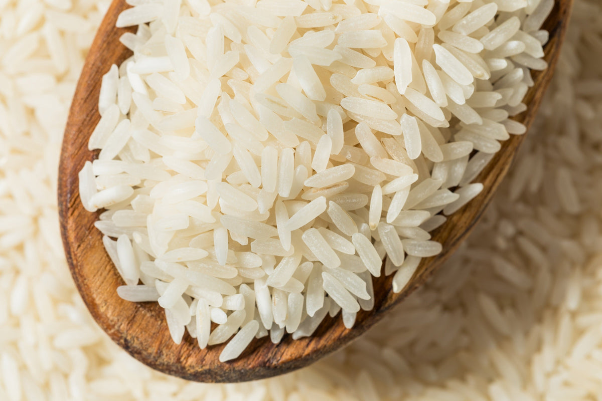 Long Grain Brown White Rice Seeds – Oryza Sativa Vegetable – photo 9