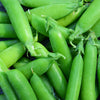 Sugar Ann Pea Seeds – Stringless Sweet Green Snap Pisum Sativum Vegetable – photo 3