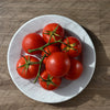 Ace 55 Tomato Lycopersicon Lycopersicum Fruit Vegetable Seeds – photo 4