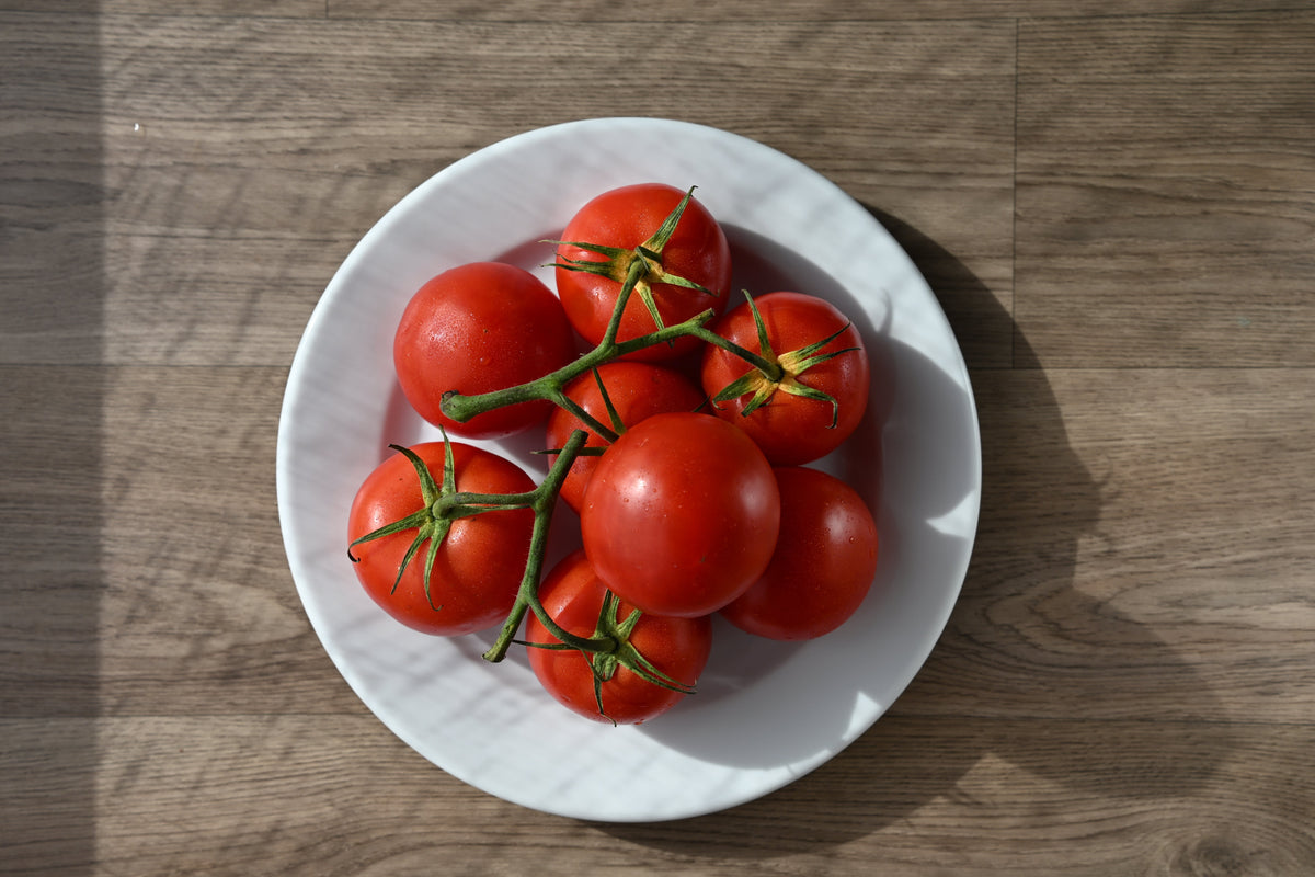 Ace 55 Tomato Lycopersicon Lycopersicum Fruit Vegetable Seeds – photo 4