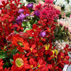 50 Crimson RED STOCK Matthiola Incana Ten-Week Gillyflower Seeds