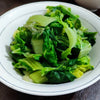 Old Fashioned Mustard Seeds – Ragged Edge Brassica Juncea Vegetable – photo 10