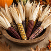 Indian Mini Mix Corn Seeds – Miniature 4" Ears Ornamental Zea Mays Vegetable – photo 6