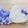 10 WOOD HYACINTH Mixed Colors English Woodland Spanish Bluebell Scilla Campanulata Hyacinthoides Hispanica Pink Purple White Flower Seeds