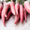 100 CHINA ROSE RADISH (Chinese Winter Radish) Raphanus Sativus Vegetable Seeds