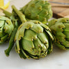 75 GREEN GLOBE ARTICHOKE Cynara Scolymus Vegetable Seeds