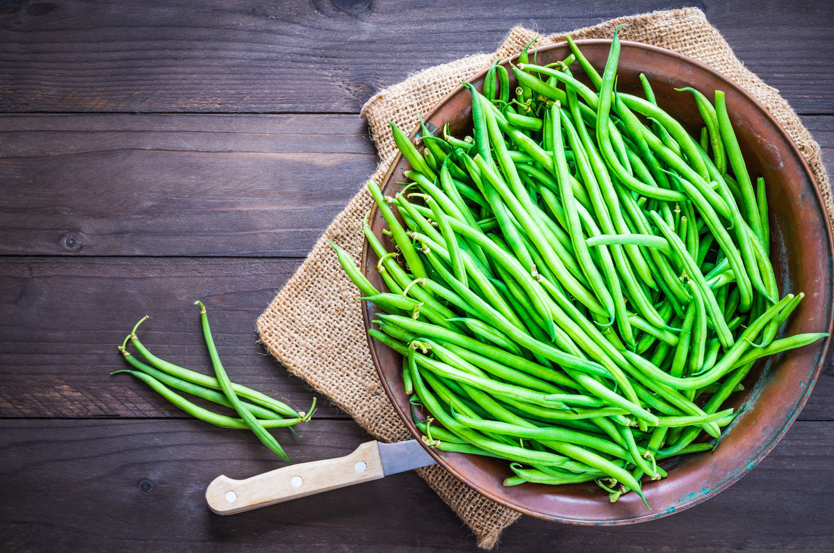 Slenderette Green Bean Seeds – French Stringless Phaseolus Vulgaris Vegetable – photo 4