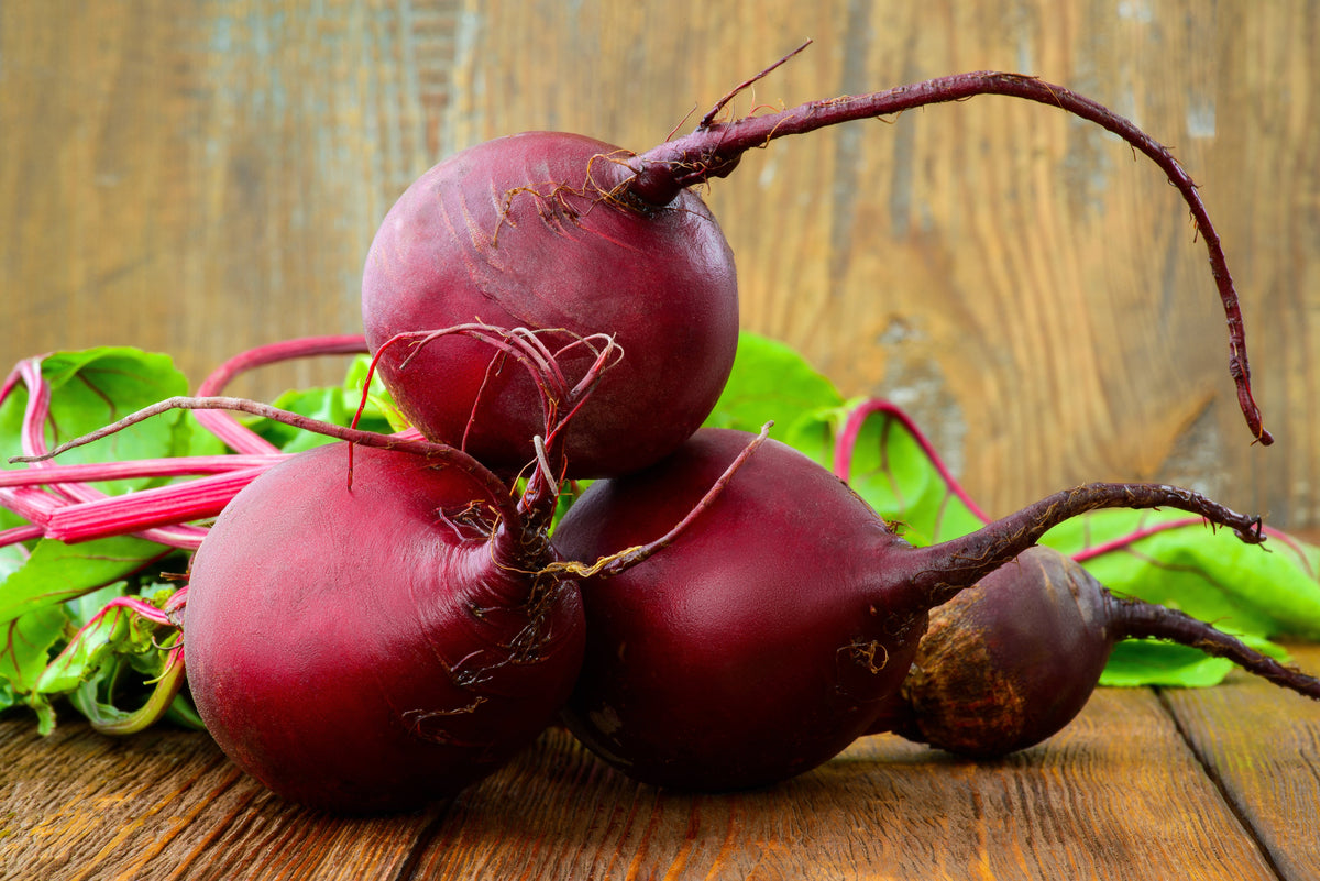 Early Wonder Beet Seeds – Beta Vulgaris Vegetable