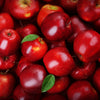 25 PARADISE APPLE Red Delicious Common Malus Pumila Domestica Fruit Tree Seeds
