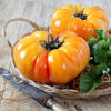 50 PINEAPPLE TOMATO Heirloom Beefsteak Indeterminate Solanum Fruit Vegetable Seeds