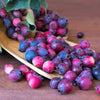 20 SASKATOON SERVICEBERRY aka Western, Pacific, Juneberry, Shadbush Amelanchier Alnifolia Native Edible Purple Berry Fruit White Flower Shrub Seeds