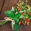 100 ALPINE STRAWBERRY Fragaria Vesca Red Fruit White Flower Seeds