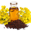 1000 BROWN MUSTARD Brassica Juncea Vegetable Herb Seeds