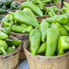 300 ANAHEIM CHILI PEPPER (New Mexico Chili Pepper) Capsicum Annuum Vegetable Seeds