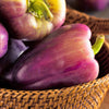 100 LILAC BELL PEPPER Capsicum Annuum Sweet Mild Purple Vegetable Seeds