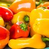 Santa Fe Grande Pepper (Guero Chili Pepper / Yellow Hot Chili Pepper) Capsicum Annuum Vegetable Seeds – photo 2