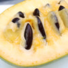 5 PAW PAW Fruit TREE Indian Banana Asimina Triloba Flower Seeds