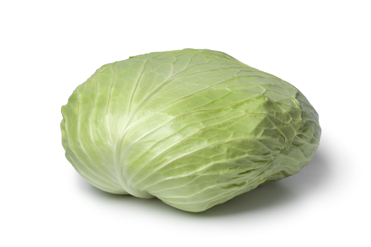 Flat Dutch Late Cabbage Brassica Oleracea Capitata Vegetable Seeds