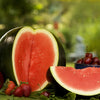 Sugar Baby Watermelon Seeds – Citrullus lanatus Fruit Melon