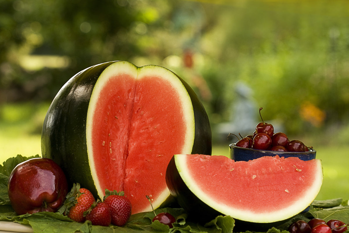 Sugar Baby Watermelon Seeds – Citrullus lanatus Fruit Melon