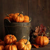 20 JACK Be LITTLE PUMPKIN Miniature Vegetable Cucurbita Pepo Seeds
