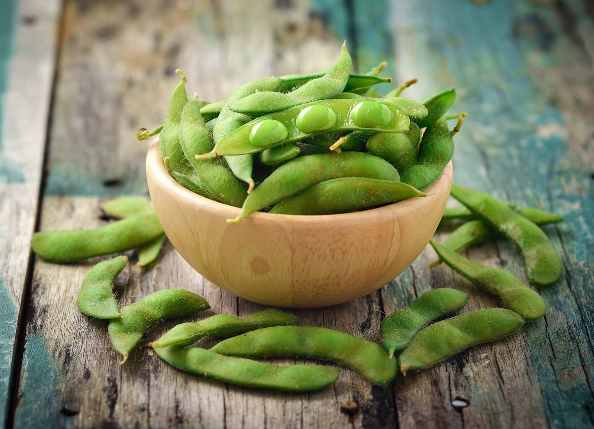 Sweet Black Jet Soybean Seeds – Edamame Bean Glycine Max Vegetable Legume – photo 4