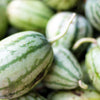 Dixie Queen Watermelon Seeds – White & Red Citrullus Lanatus Melon Fruit Vine – photo 3