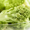 500 ROMANESCO BROCCOLI Broccoflower Roman Cauliflower Pyramid Broccolo Brassica Oleracea Vegetable Seeds