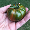 50 CHOCOLATE STRIPES TOMATO Brown with Green Lycopersicon Fruit Vegetable Seeds