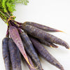 300 BLACK NEBULA CARROT Daucus Carota Root Vegetable Seeds