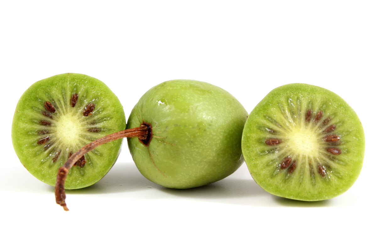 Variegated Arctic Beauty Kiwi Seeds – Fruit Edible Actinidia Kolomikta Vine – photo 4