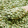 100 GREEN LENTIL Lentils Lens Culinaris Vegetable Seeds