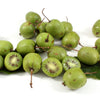 Variegated Arctic Beauty Kiwi Seeds – Fruit Edible Actinidia Kolomikta Vine – photo 5