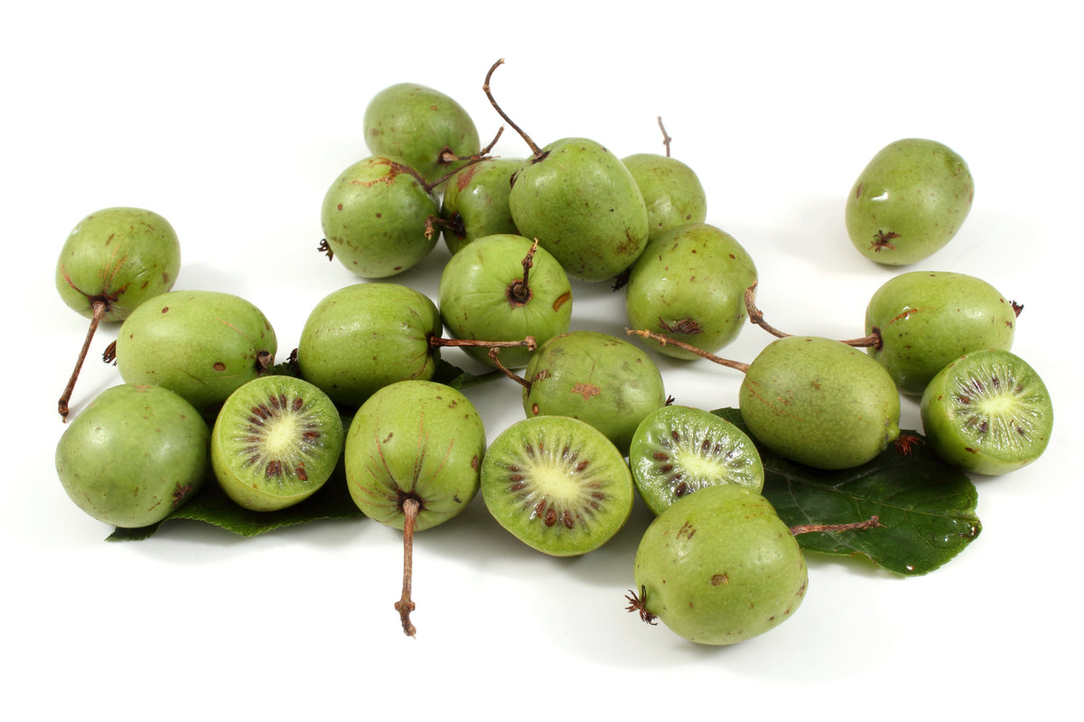 Variegated Arctic Beauty Kiwi Seeds – Fruit Edible Actinidia Kolomikta Vine – photo 5