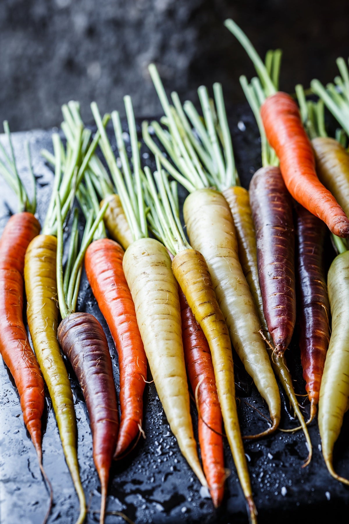 Rainbow Carrot Mix Seeds – White Red Yellow Purple Orange Daucus Carrota – photo 8
