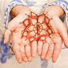 20 Common HENNA Mehandi Dye Plant Lawsonia Inermis Tattoo Flower Tree Seeds