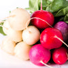 500 Mixed Colors EASTER EGG RADISH Raphanus Sativus Vegetable Seeds