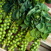 500 HEIRLOOM BRUSSEL SPROUT Brassica Oleracea Green Long Island Vegetable Seeds