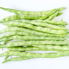 50 KENTUCKY WONDER Pole BEAN Phaseolus Vulgaris Vegetable Seeds