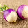 Purple Top White Globe Turnip Brassica Rapa Vegetable Seeds – photo 7