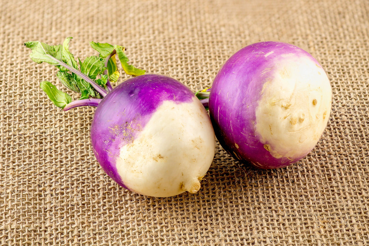 Purple Top White Globe Turnip Brassica Rapa Vegetable Seeds – photo 7