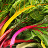 150 RAINBOW MIX SWISS CHARD Mixed Colors Beta Vulgaris Vegetable Seeds
